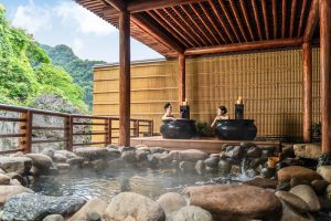 ONSEN 2939 2